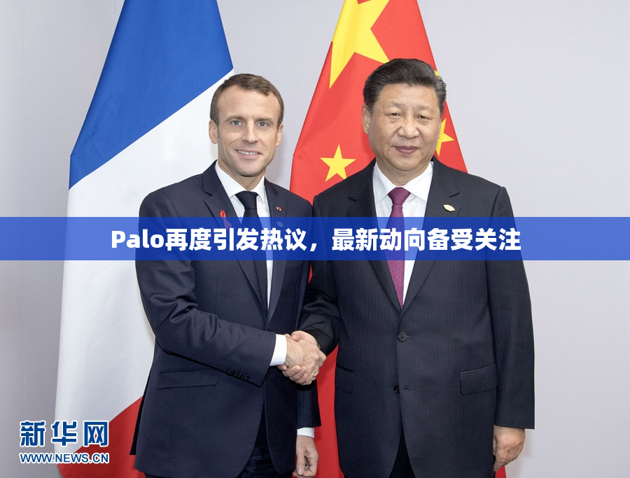 Palo再度引发热议，最新动向备受关注