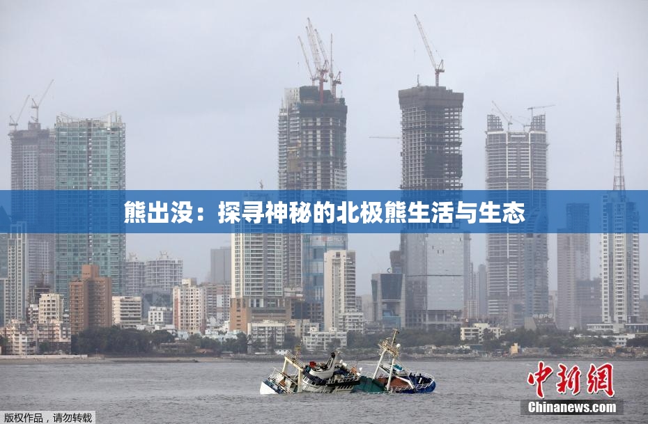 熊出没：探寻神秘的北极熊生活与生态