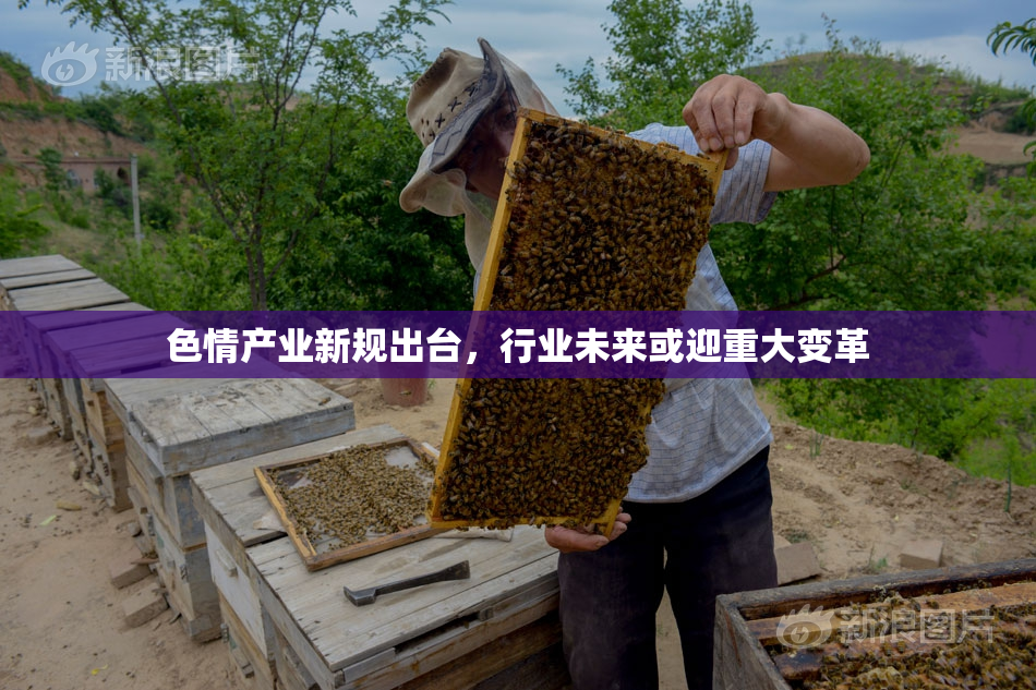 色情产业新规出台，行业未来或迎重大变革