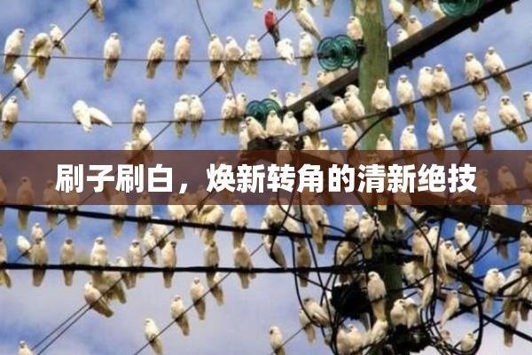 刷子刷白，焕新转角的清新绝技