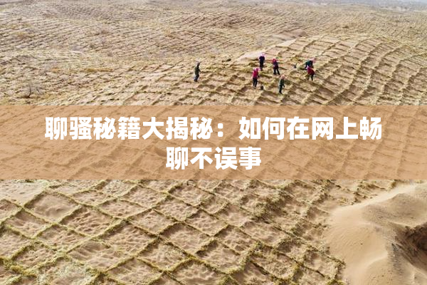 聊骚秘籍大揭秘：如何在网上畅聊不误事