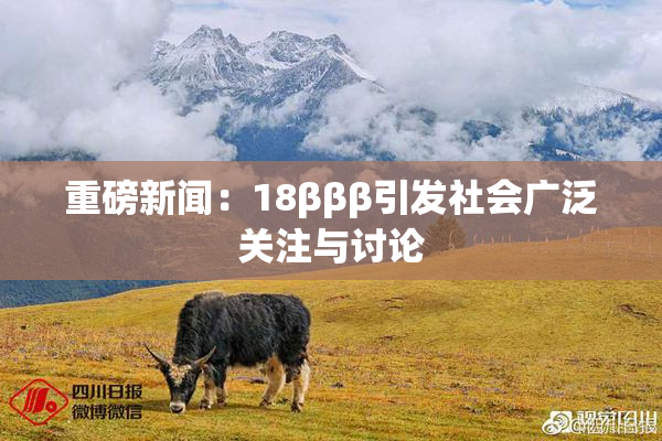 重磅新闻：18βββ引发社会广泛关注与讨论
