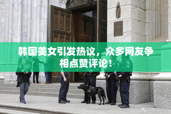 韩国美女引发热议，众多网友争相点赞评论！