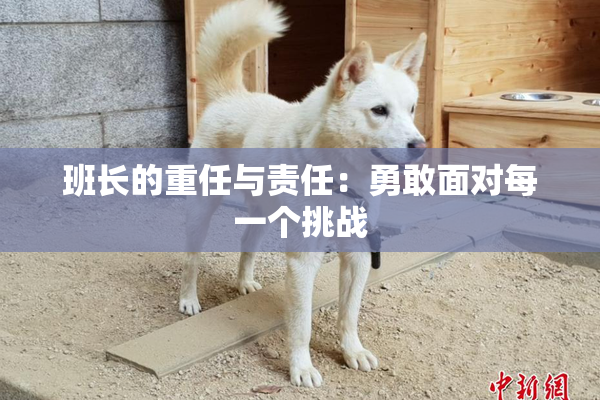 班长的重任与责任：勇敢面对每一个挑战