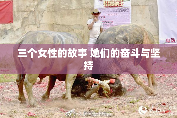 三个女性的故事 她们的奋斗与坚持