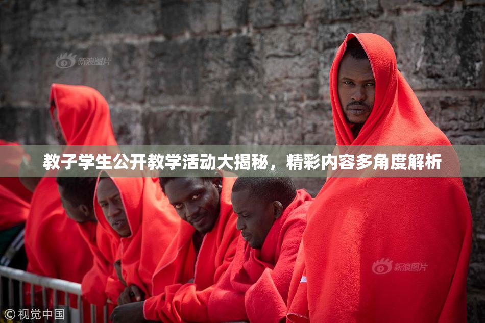 教子学生公开教学活动大揭秘，精彩内容多角度解析