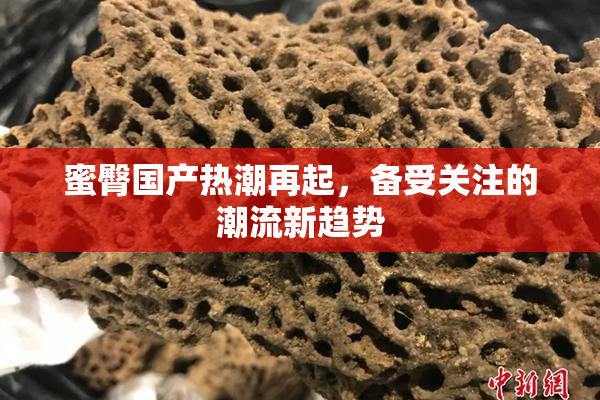 蜜臀国产热潮再起，备受关注的潮流新趋势