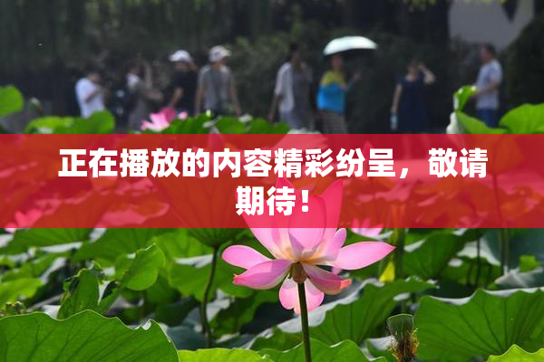 正在播放的内容精彩纷呈，敬请期待！