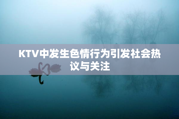 KTV中发生色情行为引发社会热议与关注