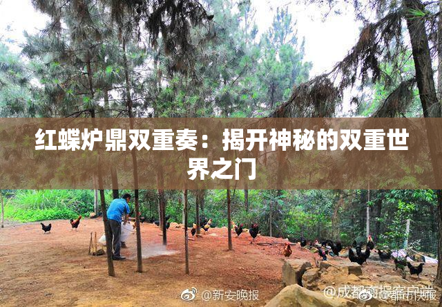 红蝶炉鼎双重奏：揭开神秘的双重世界之门