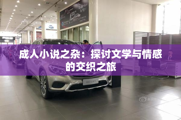 成人小说之杂：探讨文学与情感的交织之旅