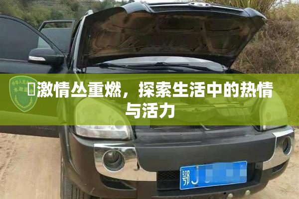 巜激情丛重燃，探索生活中的热情与活力