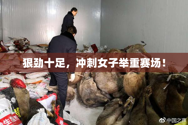 狠劲十足，冲刺女子举重赛场！