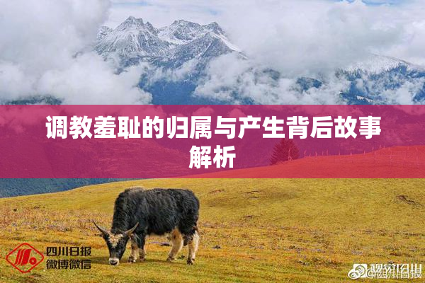 调教羞耻的归属与产生背后故事解析