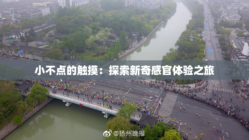 小不点的触摸：探索新奇感官体验之旅