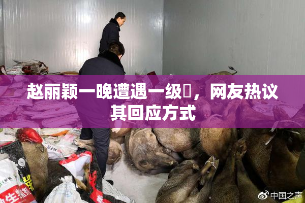 赵丽颖一晚遭遇一级婬，网友热议其回应方式