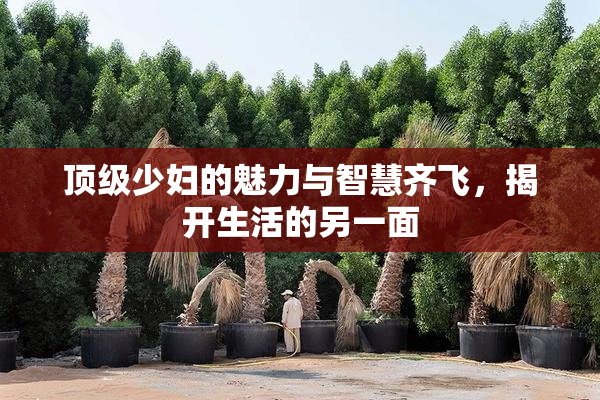 顶级少妇的魅力与智慧齐飞，揭开生活的另一面
