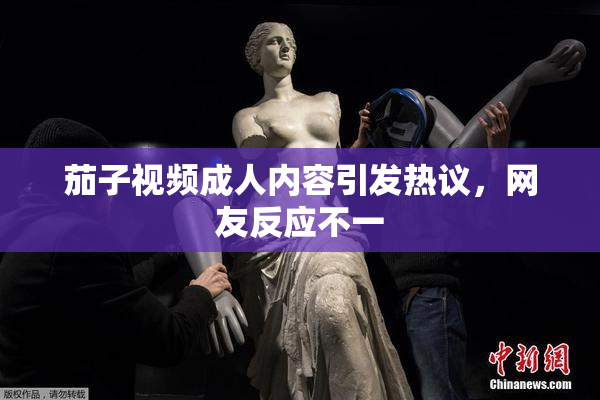 茄子视频成人内容引发热议，网友反应不一