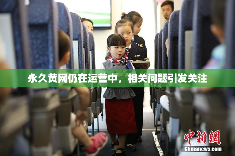 永久黄网仍在运营中，相关问题引发关注