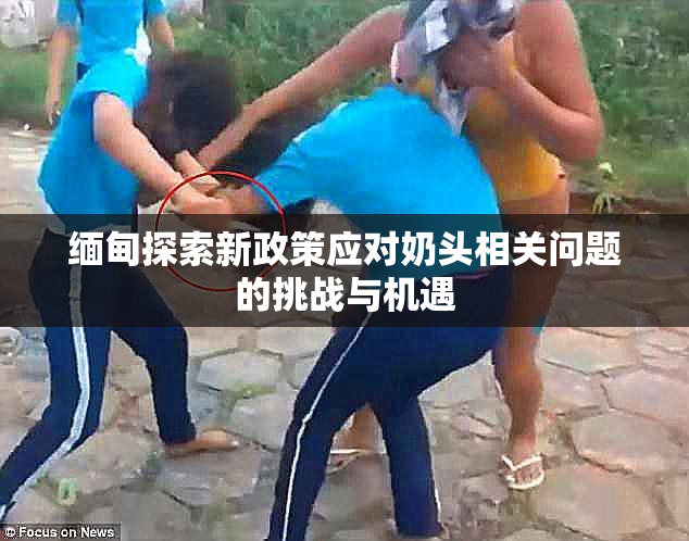 缅甸探索新政策应对奶头相关问题的挑战与机遇