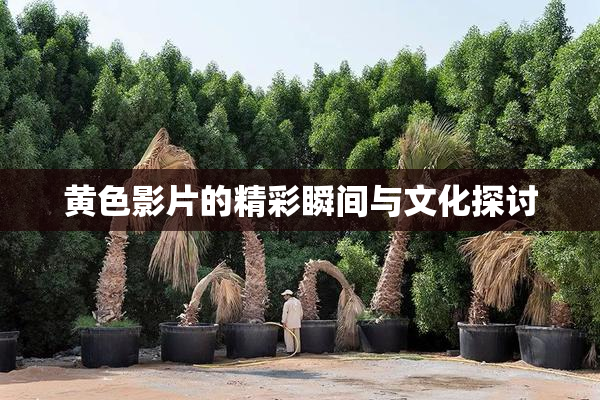 黄色影片的精彩瞬间与文化探讨