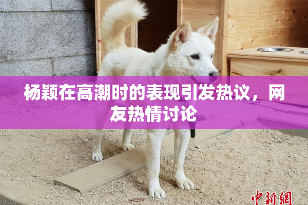 杨颖在高潮时的表现引发热议，网友热情讨论