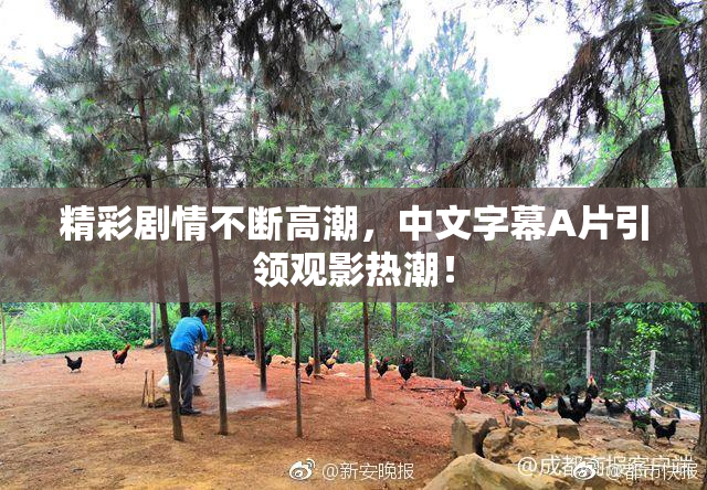 精彩剧情不断高潮，中文字幕A片引领观影热潮！
