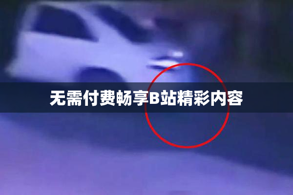 无需付费畅享B站精彩内容