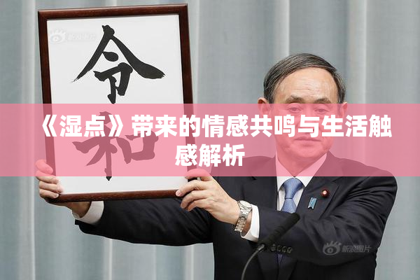 《湿点》带来的情感共鸣与生活触感解析