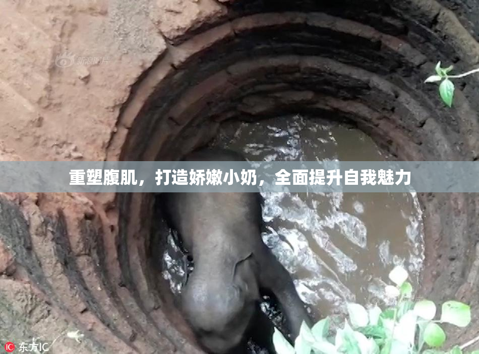 重塑腹肌，打造娇嫩小奶，全面提升自我魅力