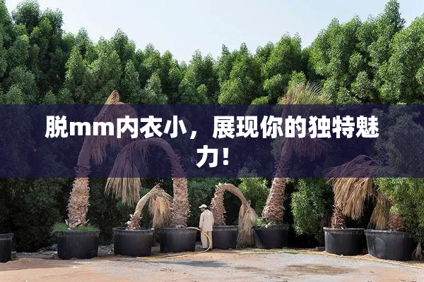 脱mm内衣小，展现你的独特魅力！
