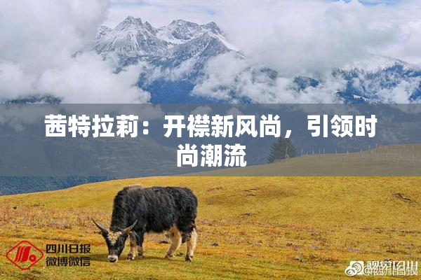 茜特拉莉：开襟新风尚，引领时尚潮流