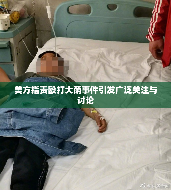 美方指责殴打大荫事件引发广泛关注与讨论