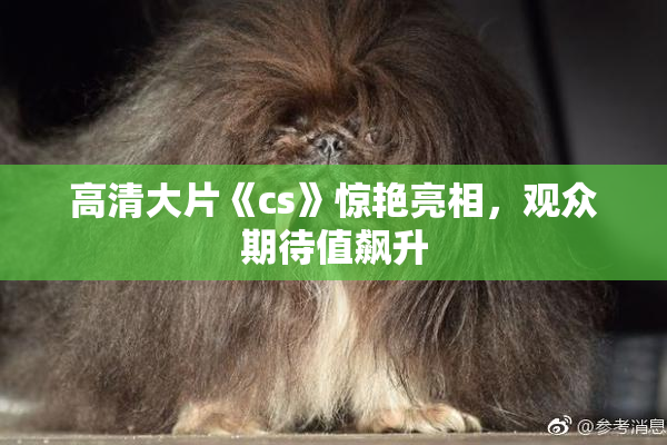高清大片《cs》惊艳亮相，观众期待值飙升