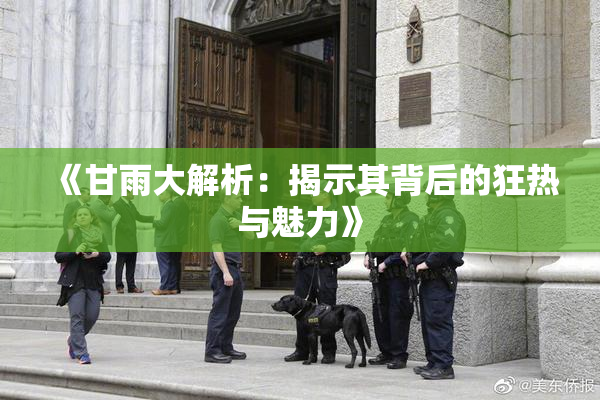 《甘雨大解析：揭示其背后的狂热与魅力》