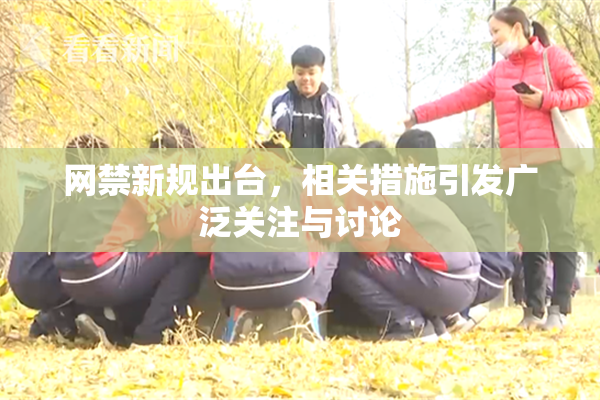 网禁新规出台，相关措施引发广泛关注与讨论