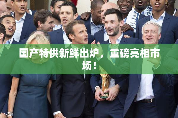 国产特供新鲜出炉，重磅亮相市场！