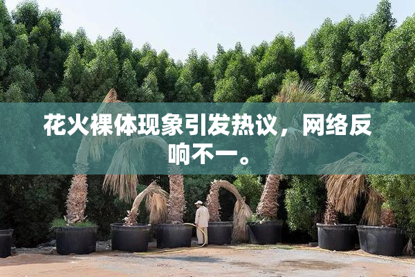 花火裸体现象引发热议，网络反响不一。
