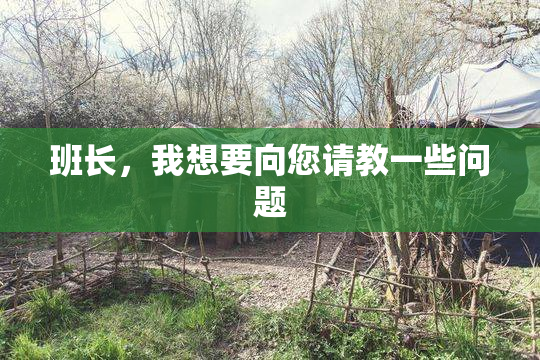班长，我想要向您请教一些问题