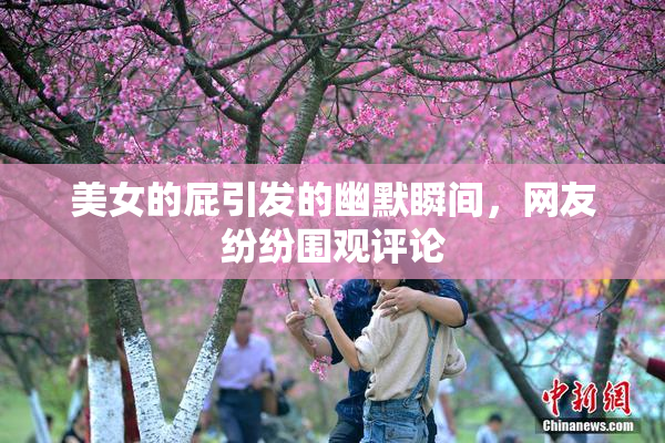 美女的屁引发的幽默瞬间，网友纷纷围观评论