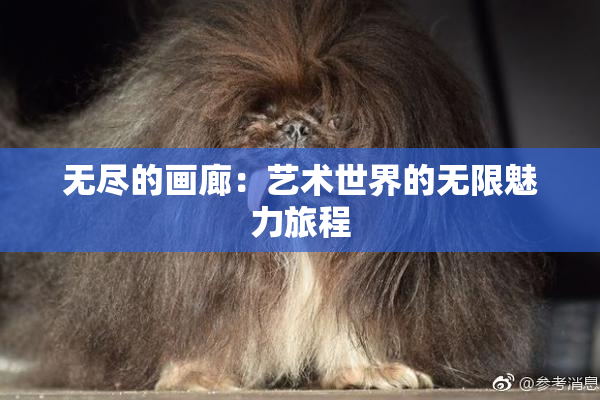 无尽的画廊：艺术世界的无限魅力旅程