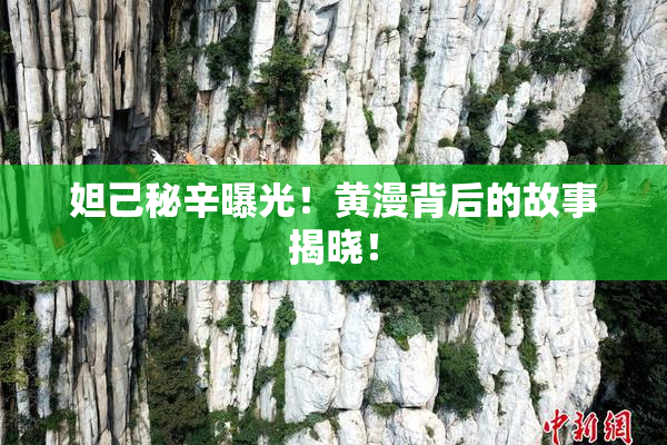 妲己秘辛曝光！黄漫背后的故事揭晓！