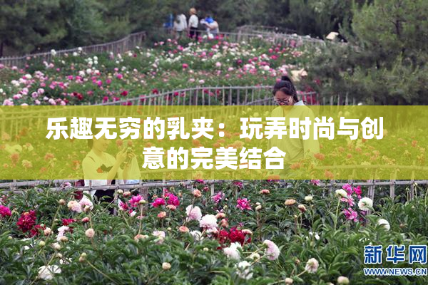 乐趣无穷的乳夹：玩弄时尚与创意的完美结合