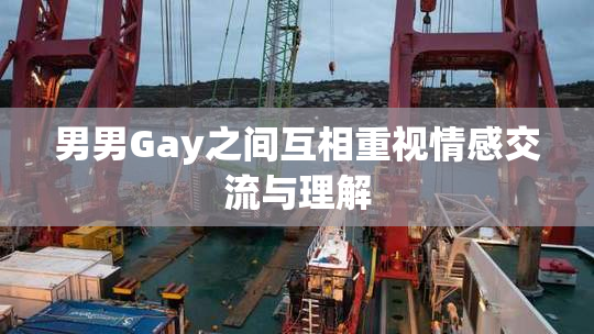 男男Gay之间互相重视情感交流与理解