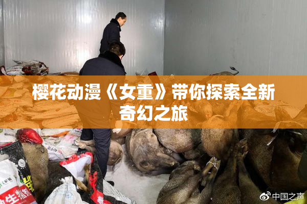 樱花动漫《女重》带你探索全新奇幻之旅