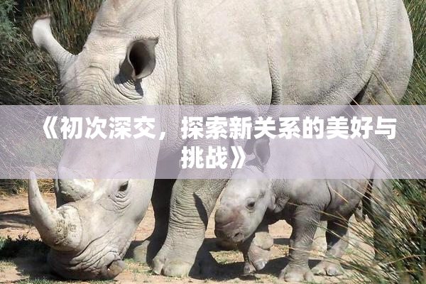 《初次深交，探索新关系的美好与挑战》