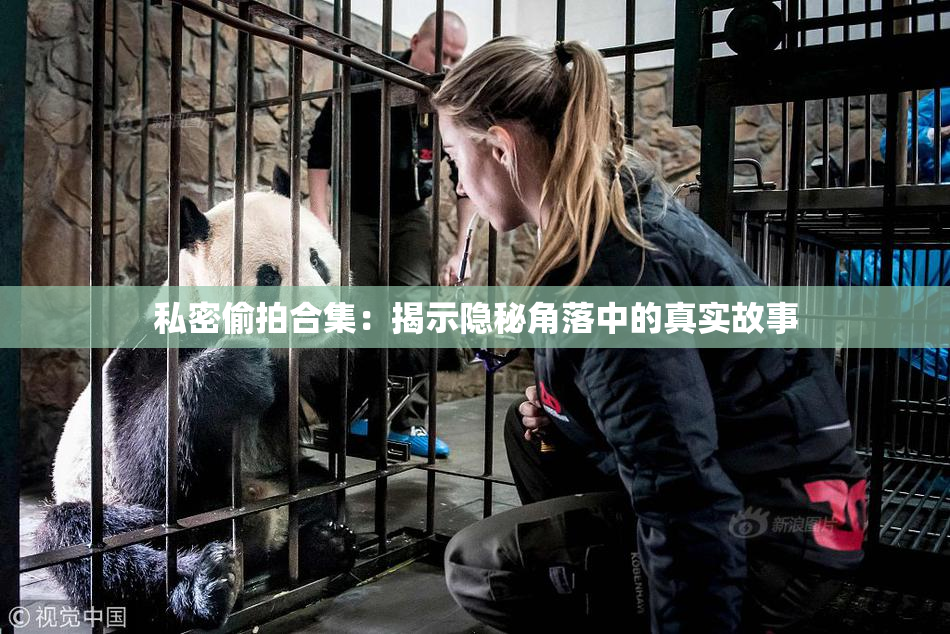 私密偷拍合集：揭示隐秘角落中的真实故事