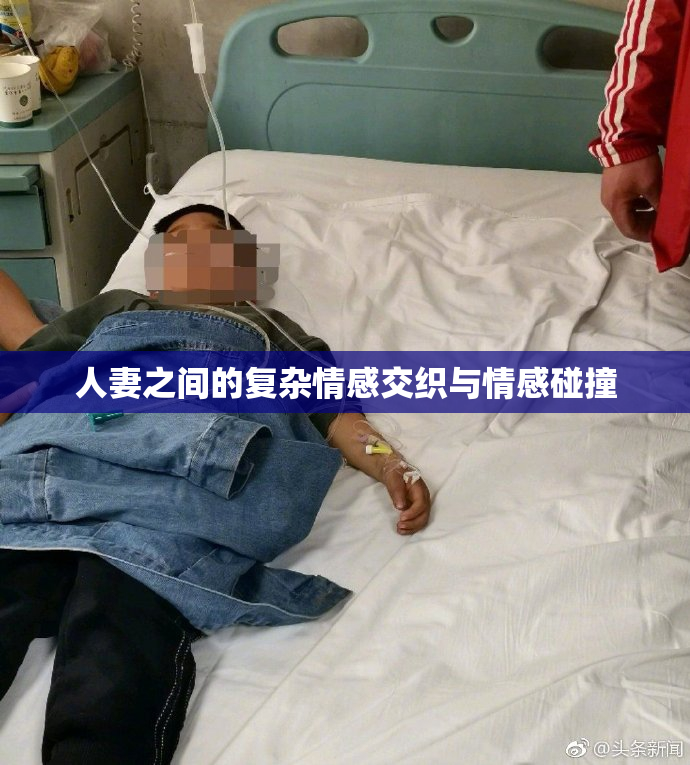 人妻之间的复杂情感交织与情感碰撞