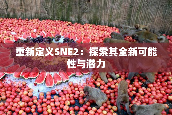重新定义SNE2：探索其全新可能性与潜力