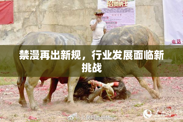 禁漫再出新规，行业发展面临新挑战